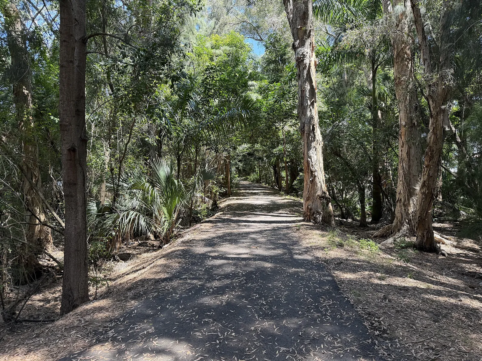 Shaded walking path through Stanley Goldman Memorial Park