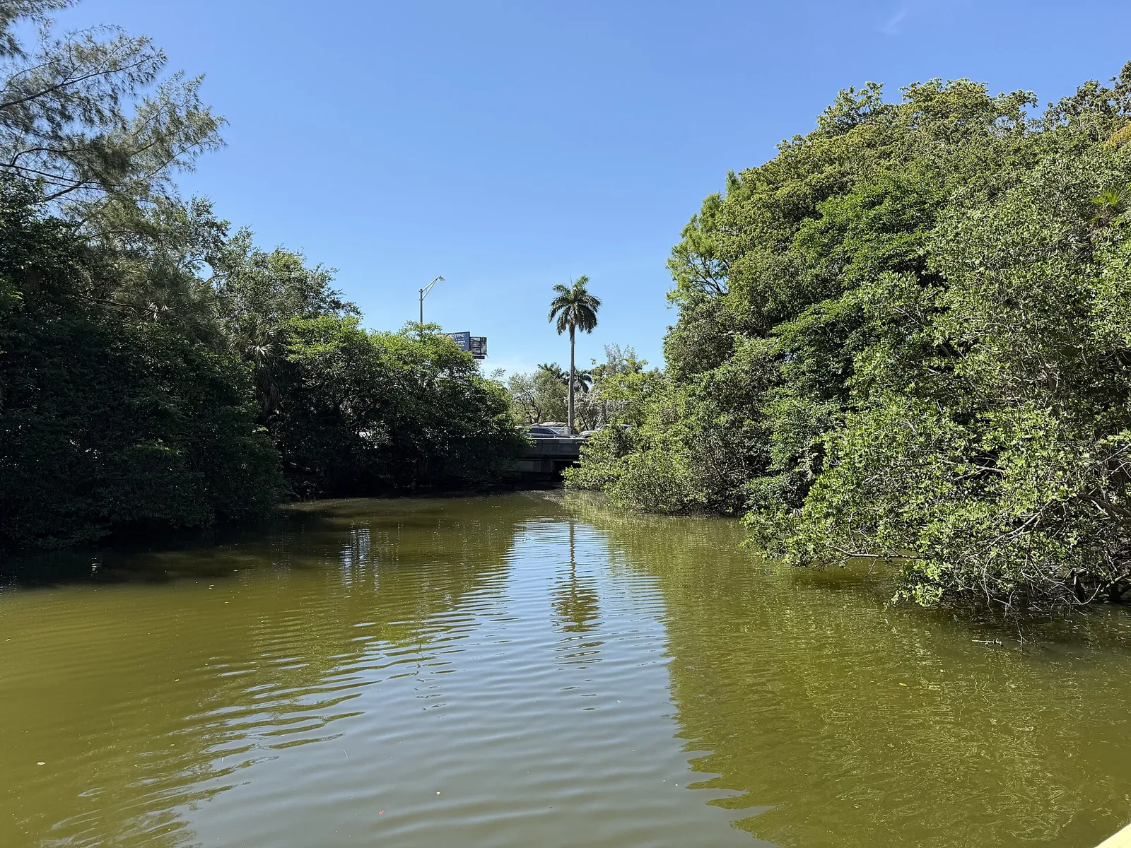 Lake view at Stanley Goldman Memorial Park