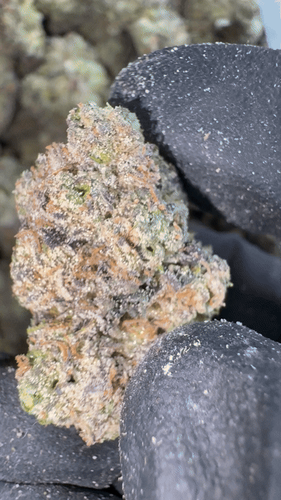 Indoor THCa Flower | Bakeboxx.com