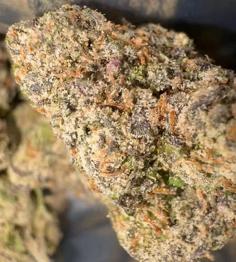 What is exotic THCA flower