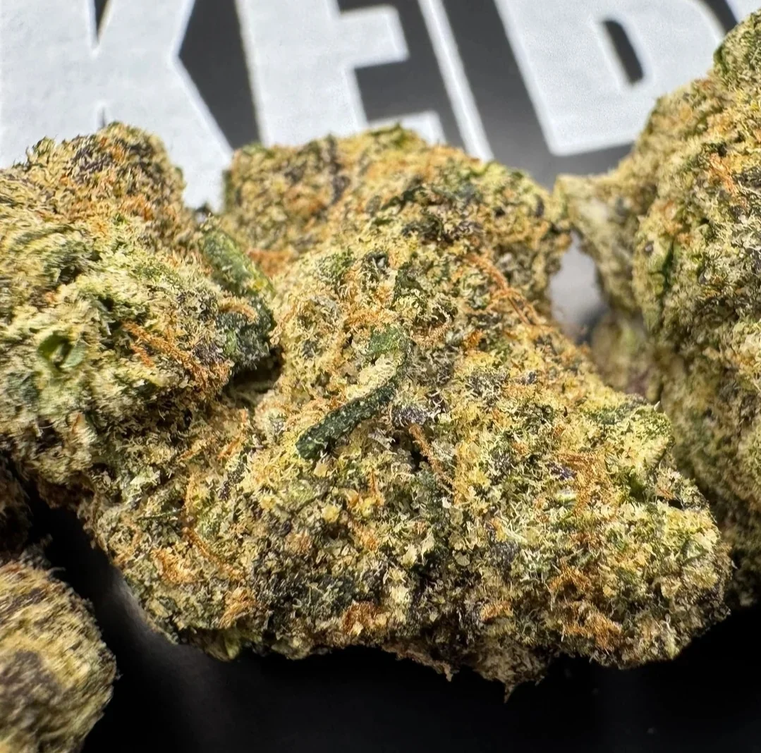 Exotic vs Indoor vs Greenhouse