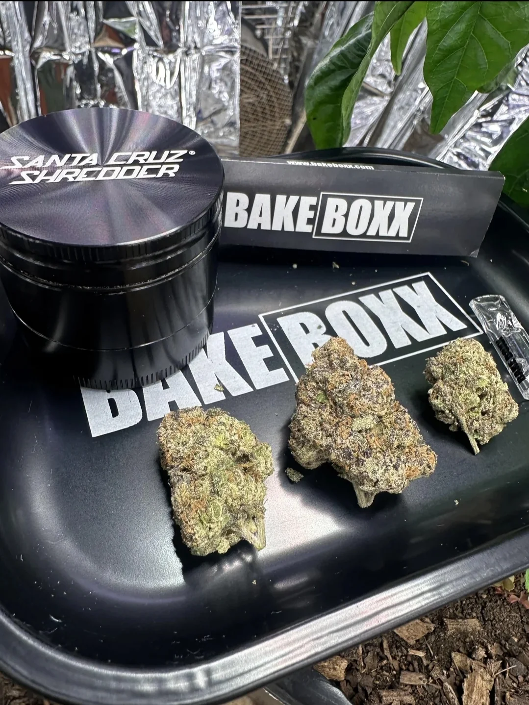 Who is exotic THCA for