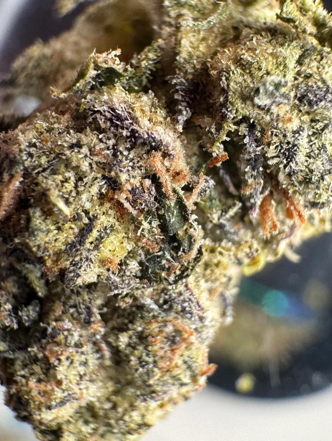 BakeBoxx Exotic Flower