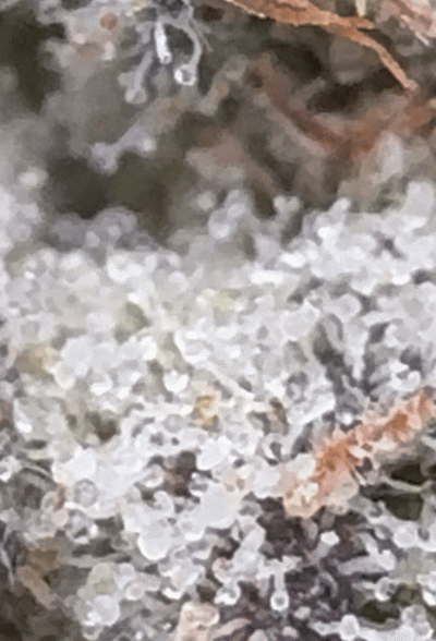 Why BakeBoxx stands out