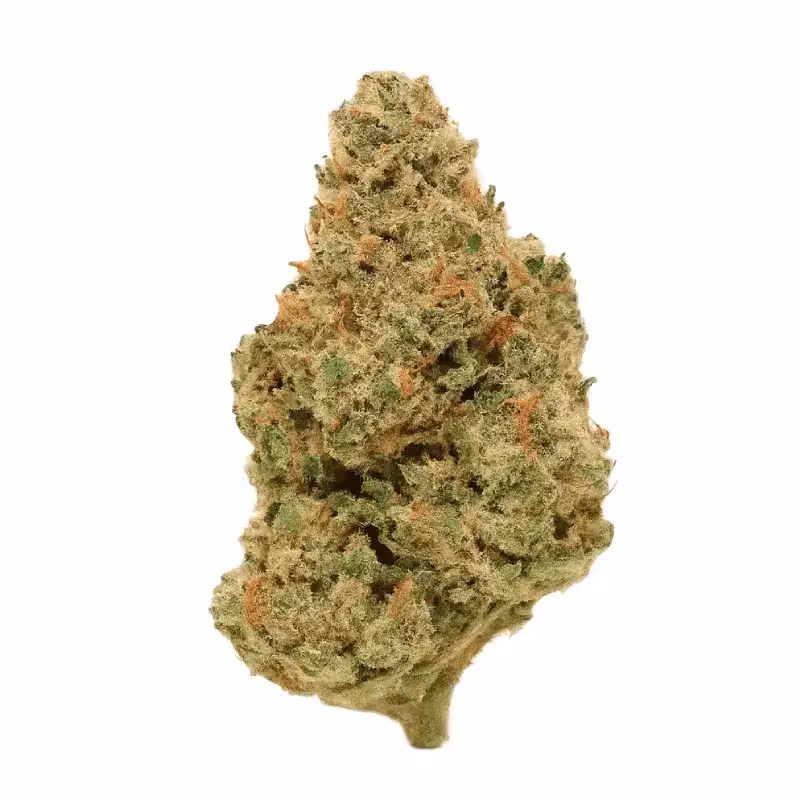 Apple Tarts - Greenhouse THCa Flower