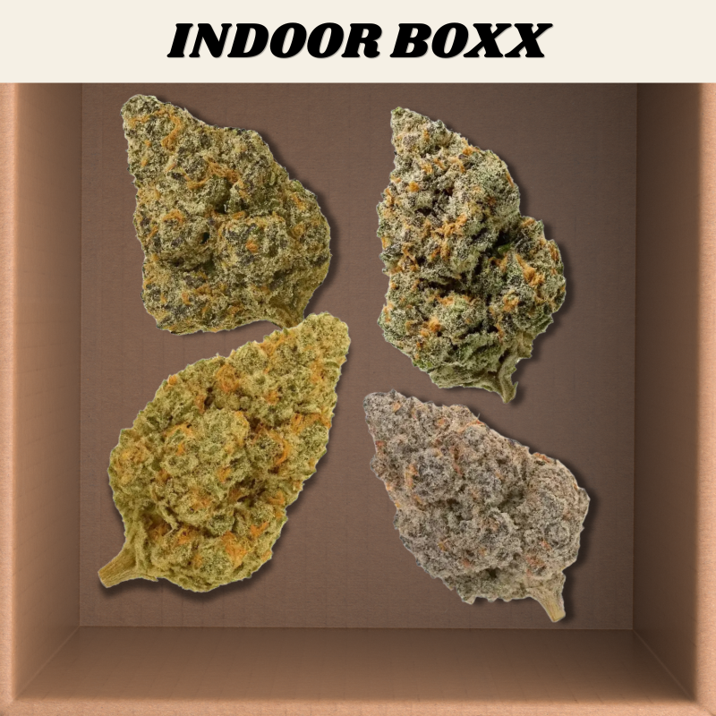 Choose Your Own Indoors Bundle Boxx (4x 3.5g)