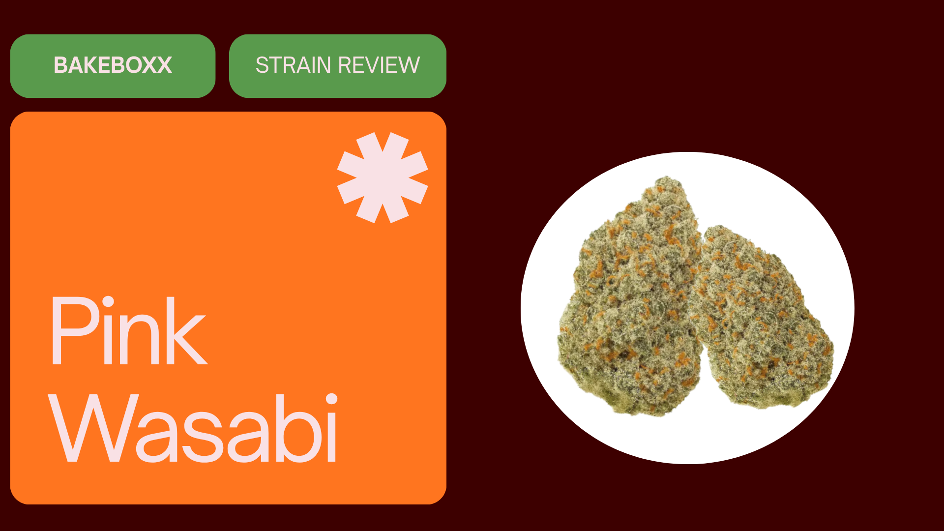 Pink Wasabi Strain Review - BakeBoxx blog article