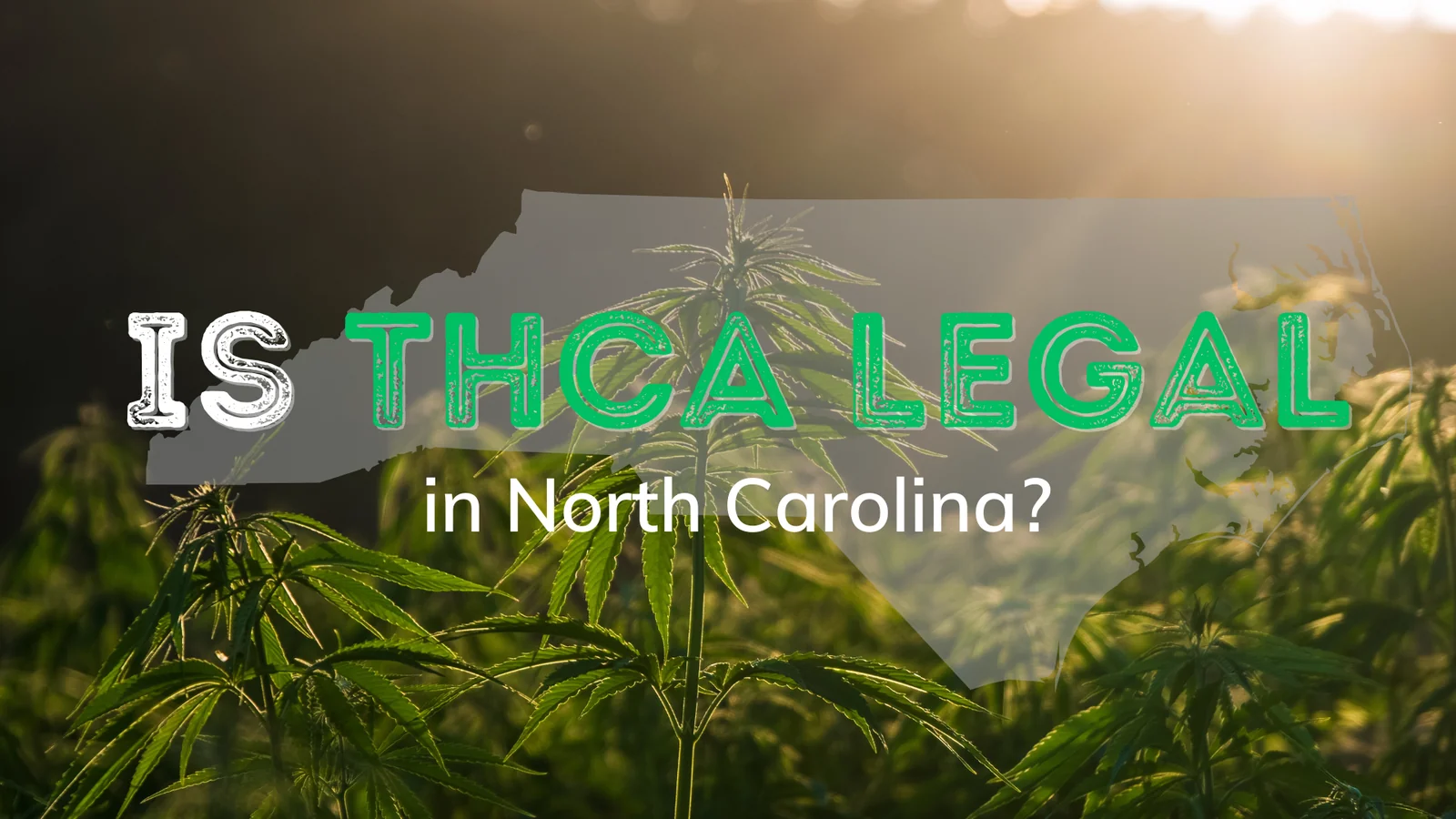 Is THCA Legal in North Carolina? - BakeBoxx blog article