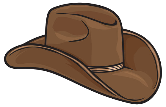 The Plug hat
