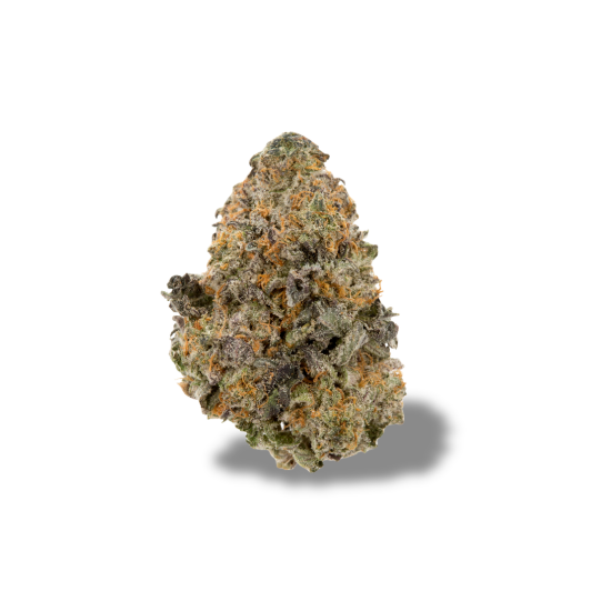 Gelato