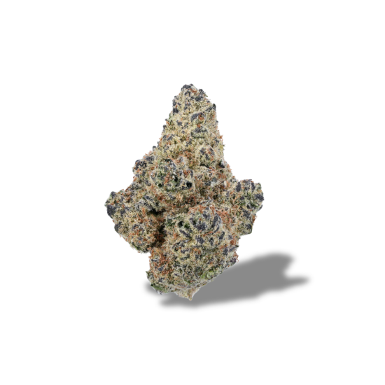 Northern Lights