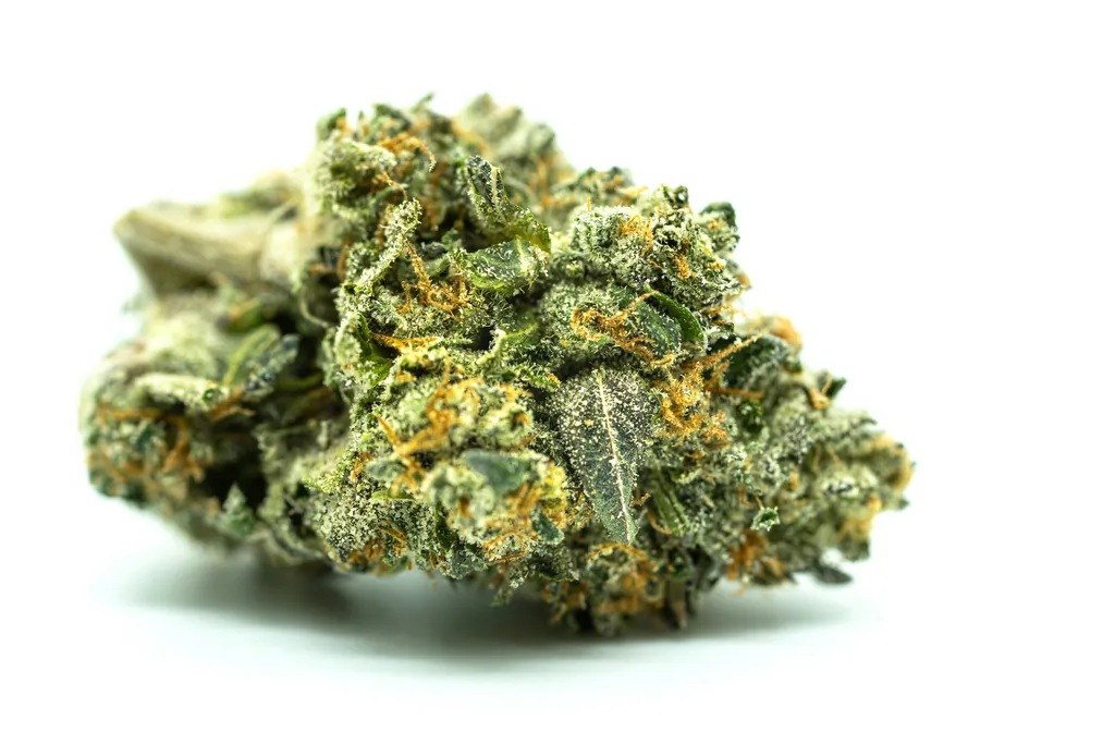 THCA Flower