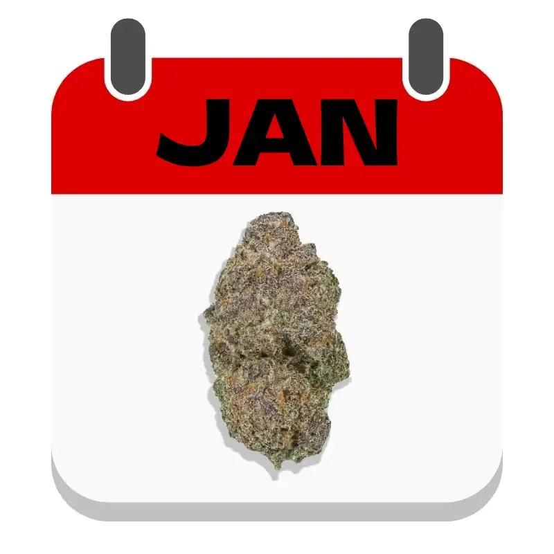 Strain Of The Month