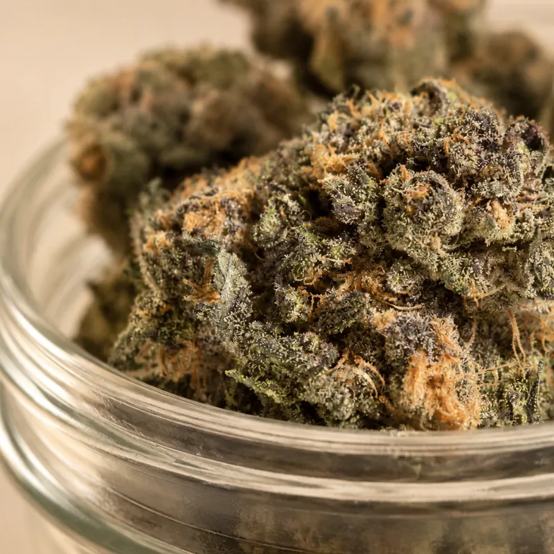 THCA Flower