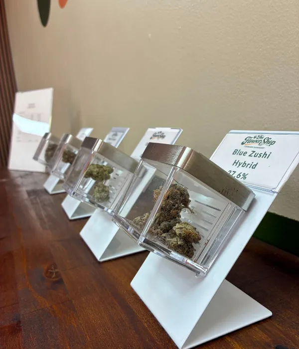 Inside The Flower Shop Dispensary, the North Houston dispensary Klein rolls through to on Kuykendahl