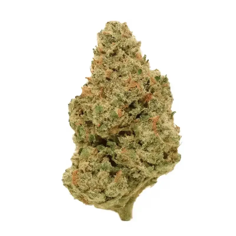 Apple Tarts - Greenhouse THCa Flower